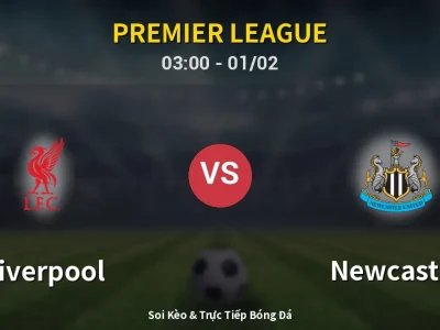 Kết Quả: Liverpool 4-1 Newcastle – Highlight & Bàn Thắng | Premier League