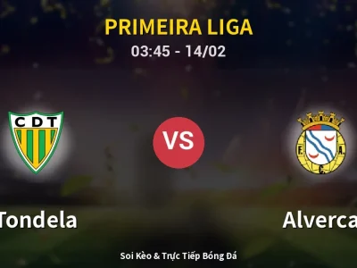 Kết Quả: Tondela 1-1 Alverca – Highlight & Bàn Thắng | Primeira Liga