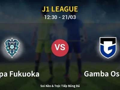 Kết Quả: Avispa Fukuoka 2-2 Gamba Osaka – Highlight & Bàn Thắng | J1 League