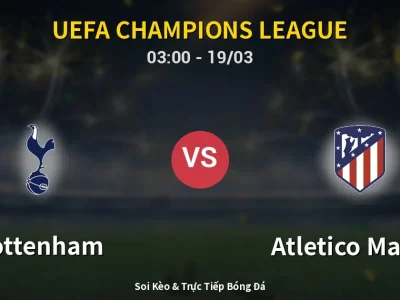 Kết Quả: Tottenham 3-2 Atletico Madrid – Highlight & Bàn Thắng | UEFA Champions League