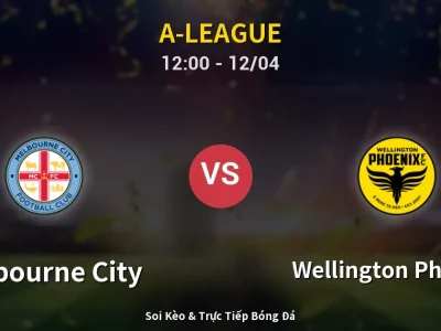 Kết Quả: Melbourne City 2-0 Wellington Phoenix – Highlight & Bàn Thắng | A-League